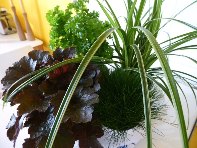P1060650.webp