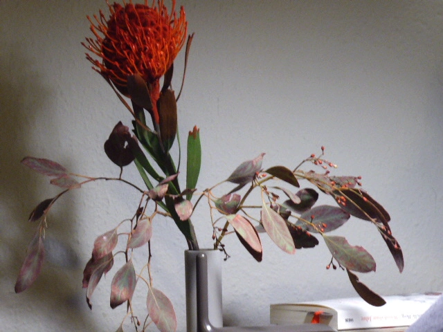 P1070012.webp