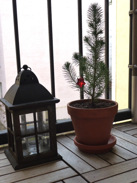 P1070039.webp
