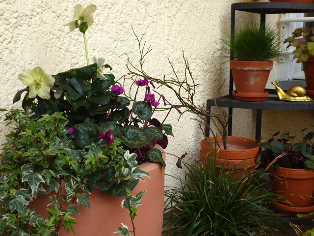 P1070044.webp