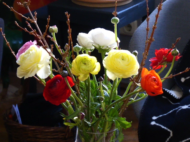 P1070200.webp