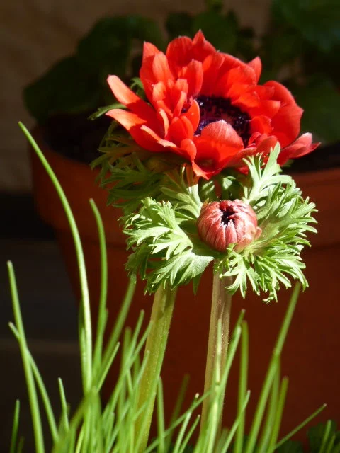 P1070361.webp