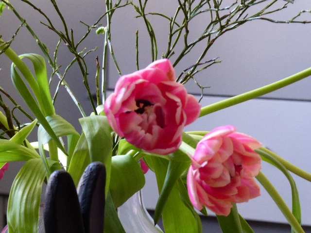 P1070526.webp