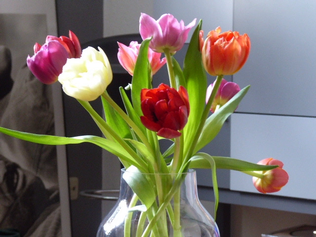 P1070643.webp