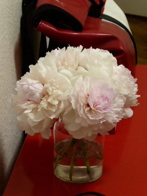 P1070660.webp