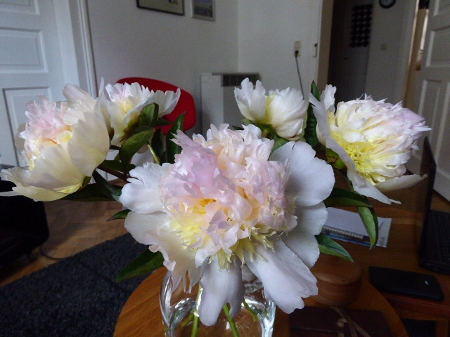 P1070833.webp
