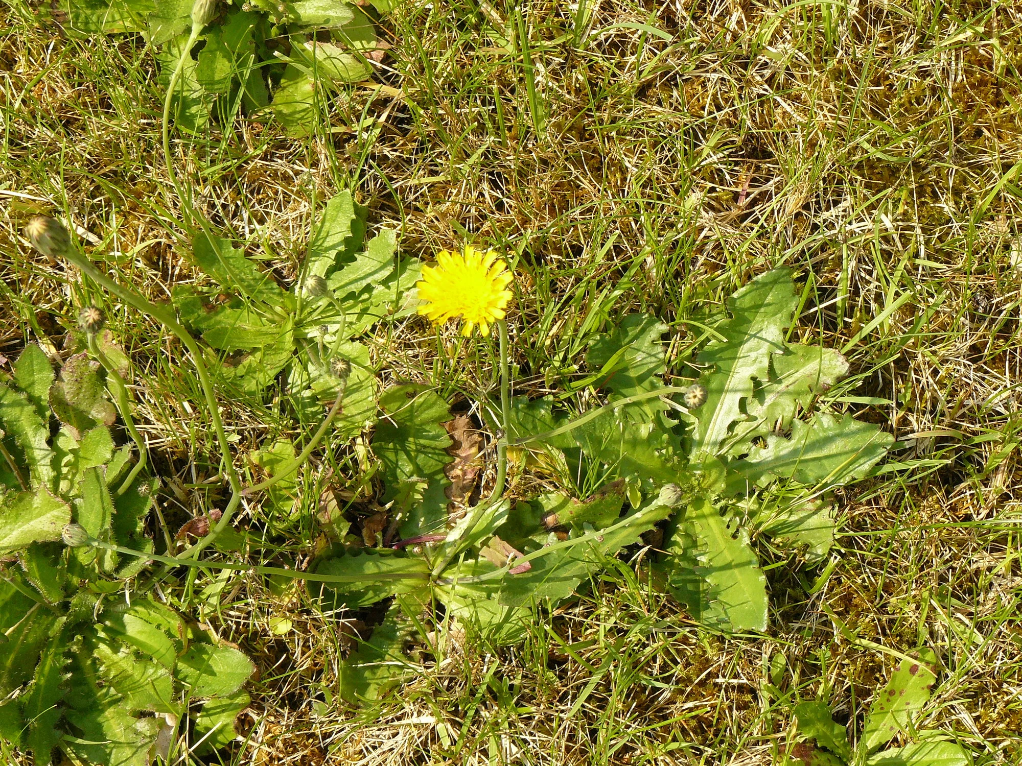 P1070881.webp