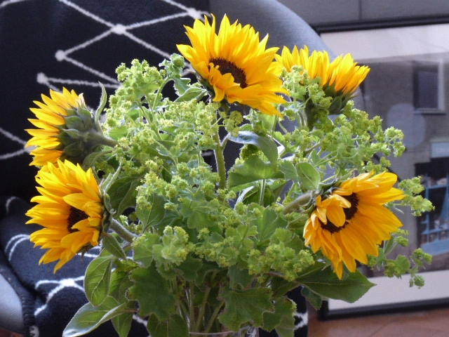 P1070884.webp