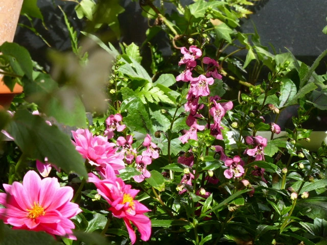 P1070902.webp
