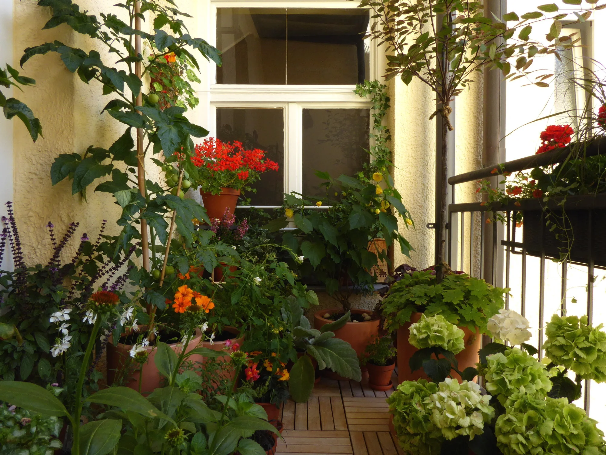 P1080230.webp
