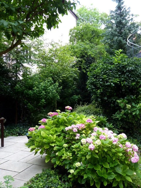 P1080366.webp