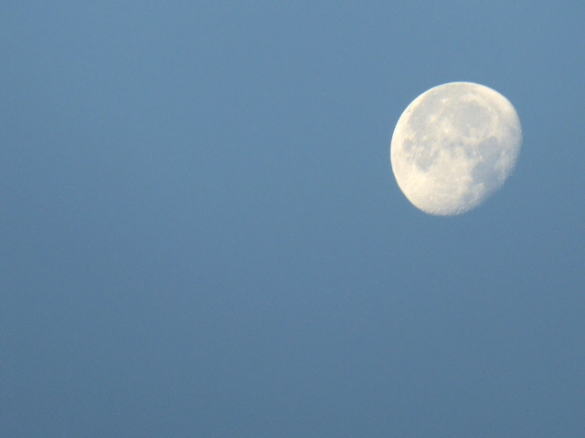 P1080517.webp