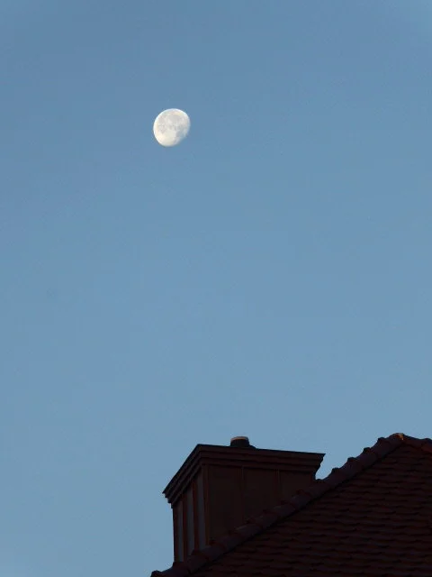 P1080519.webp