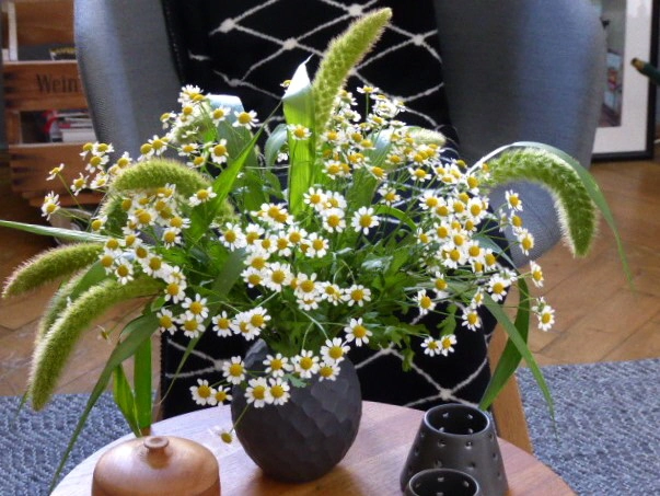 P1080533 (2).webp