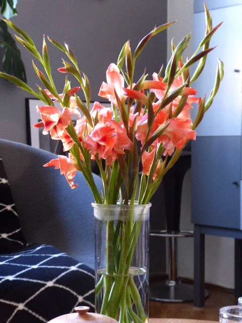 P1080600.webp