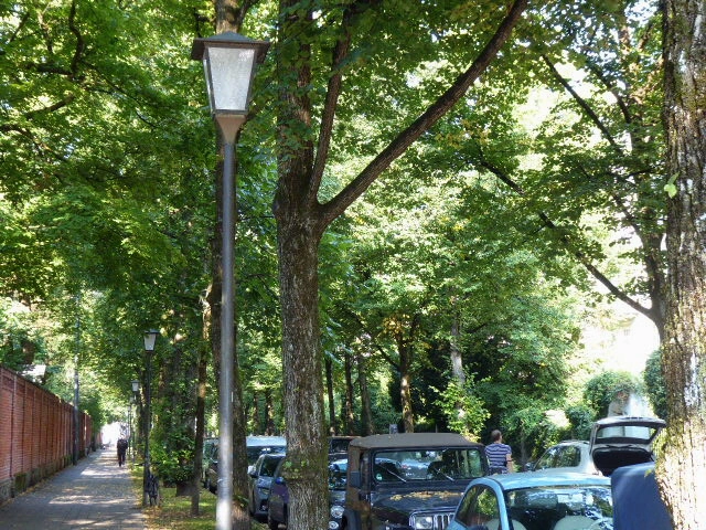 P1080760.webp