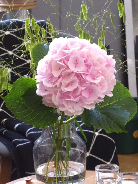 P1080789(1).webp