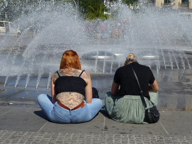 P1080846.webp
