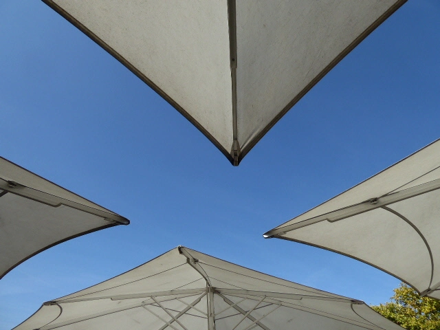 P1080855.webp