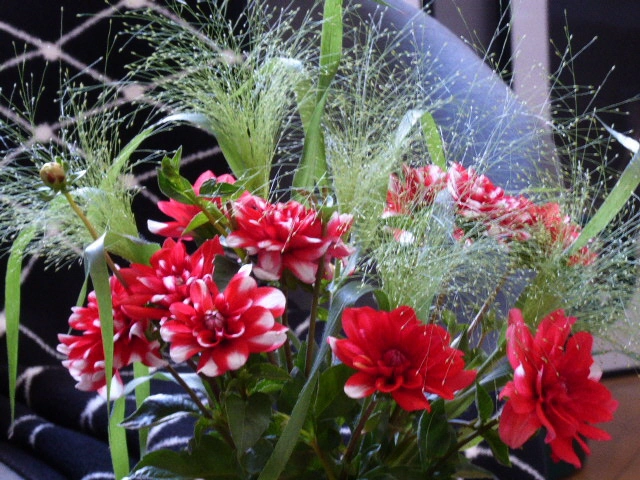 P1080929.webp