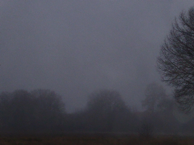 P1090407.webp