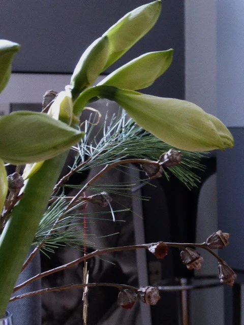 P1090420.webp