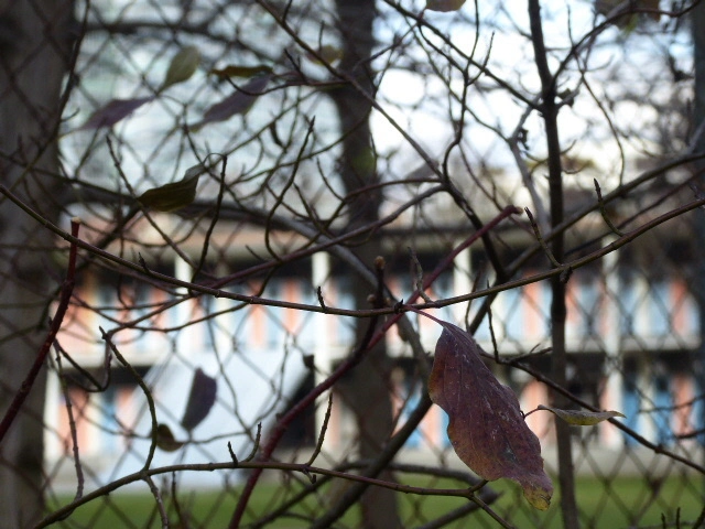 P1090448.JPG
