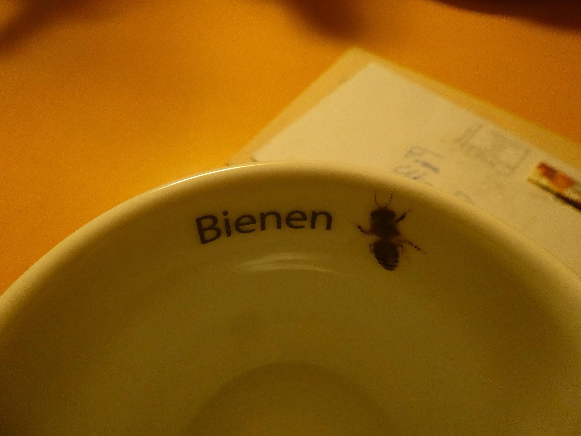 P1090626.JPG