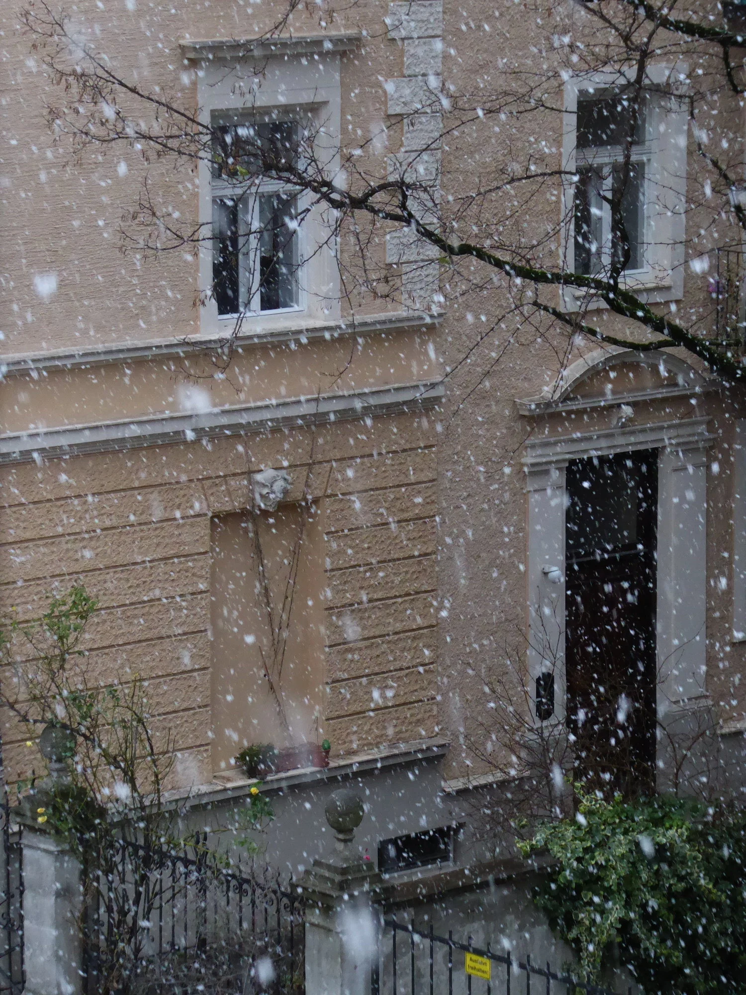 P1090636.webp