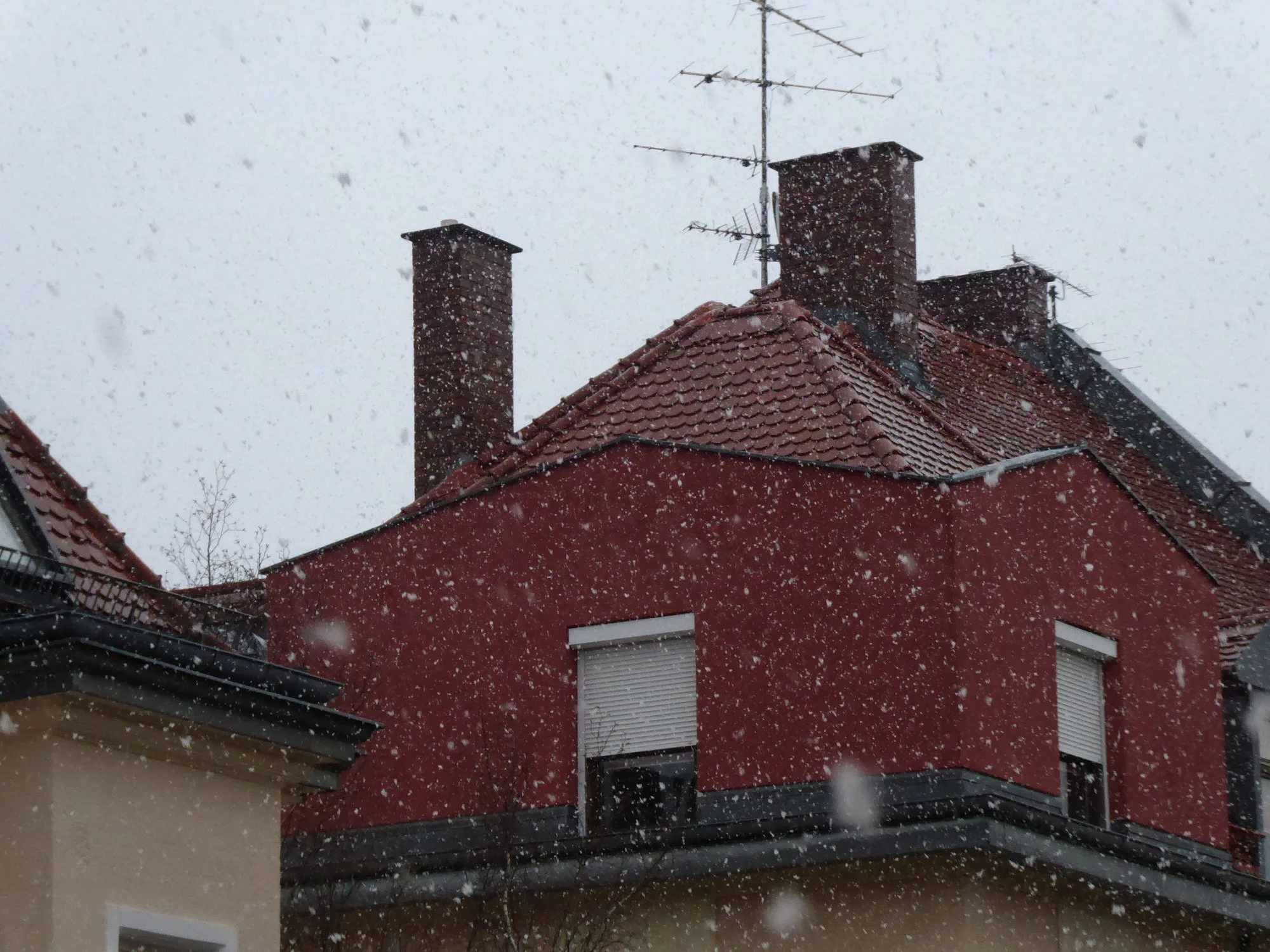 P1090637.webp