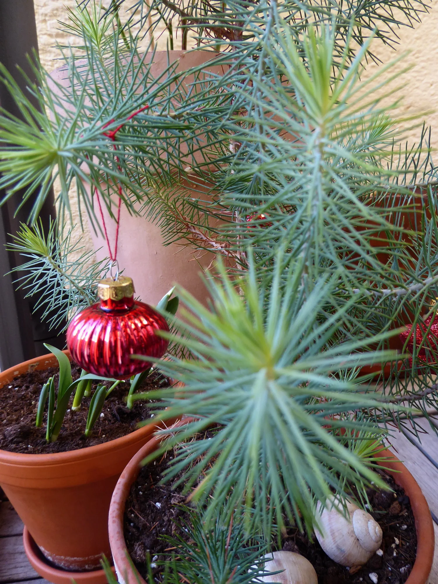 P1090650.webp