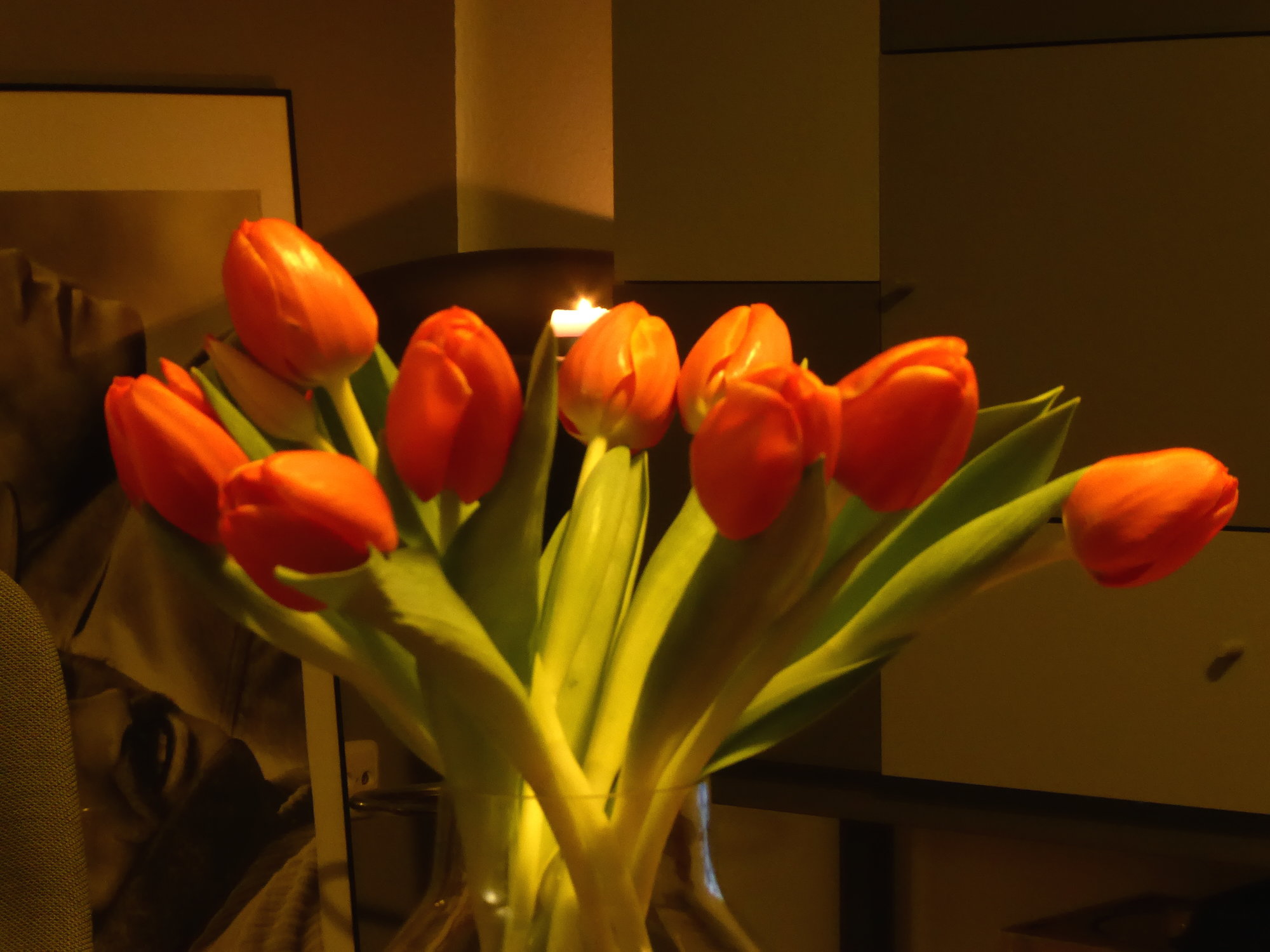 P1090735.JPG