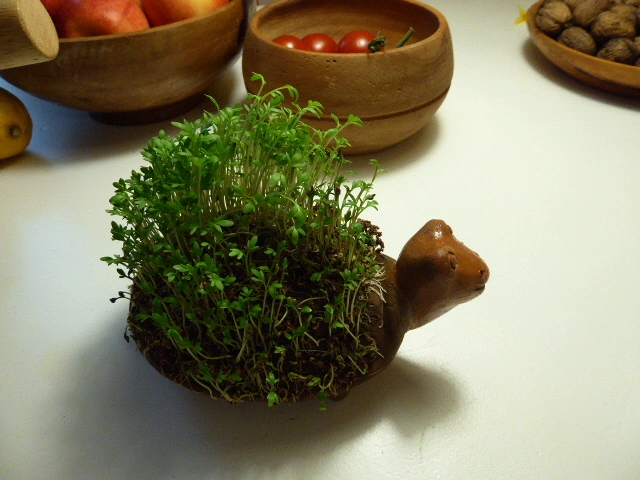 P1100001.webp