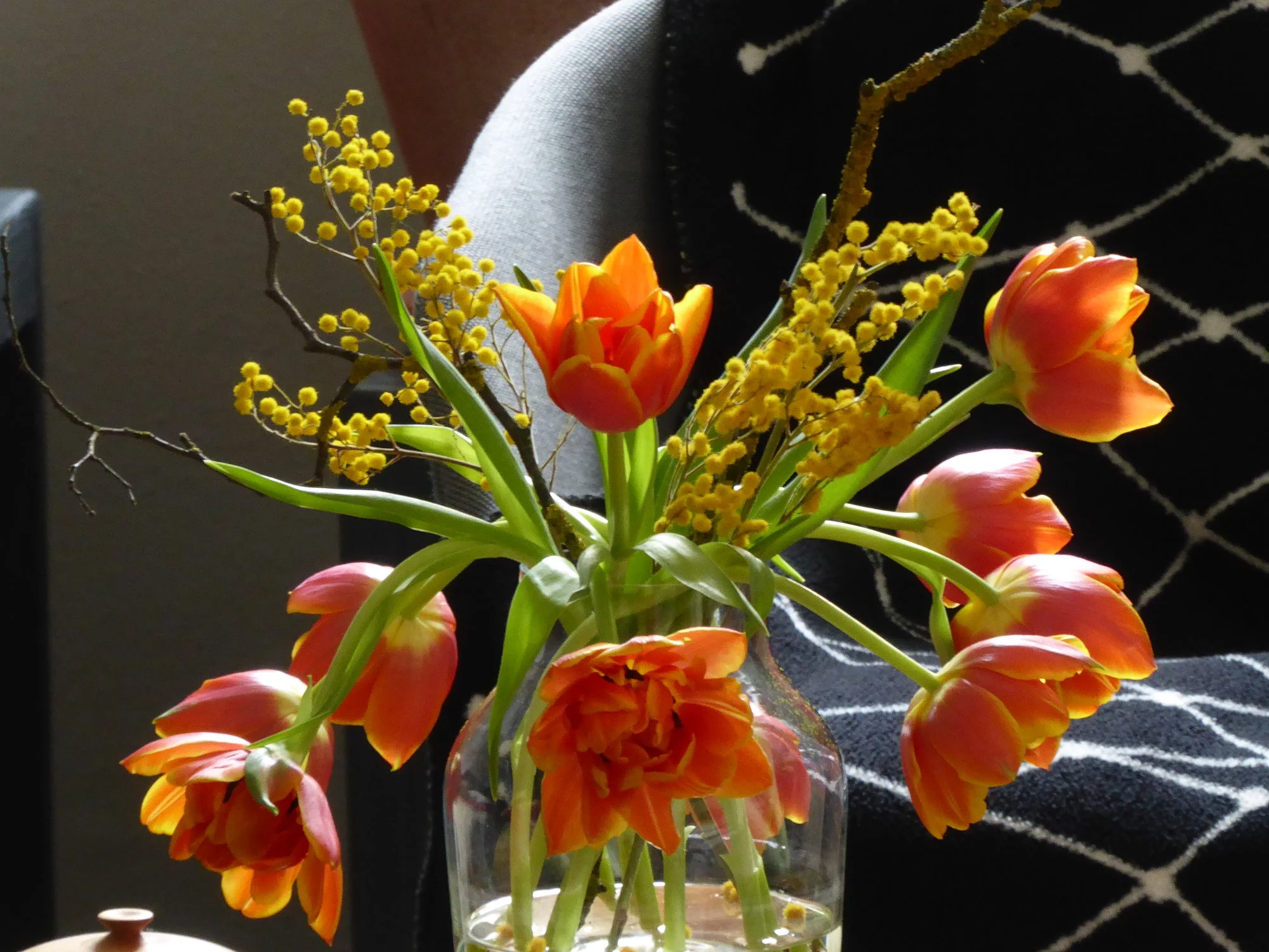 P1100259.webp