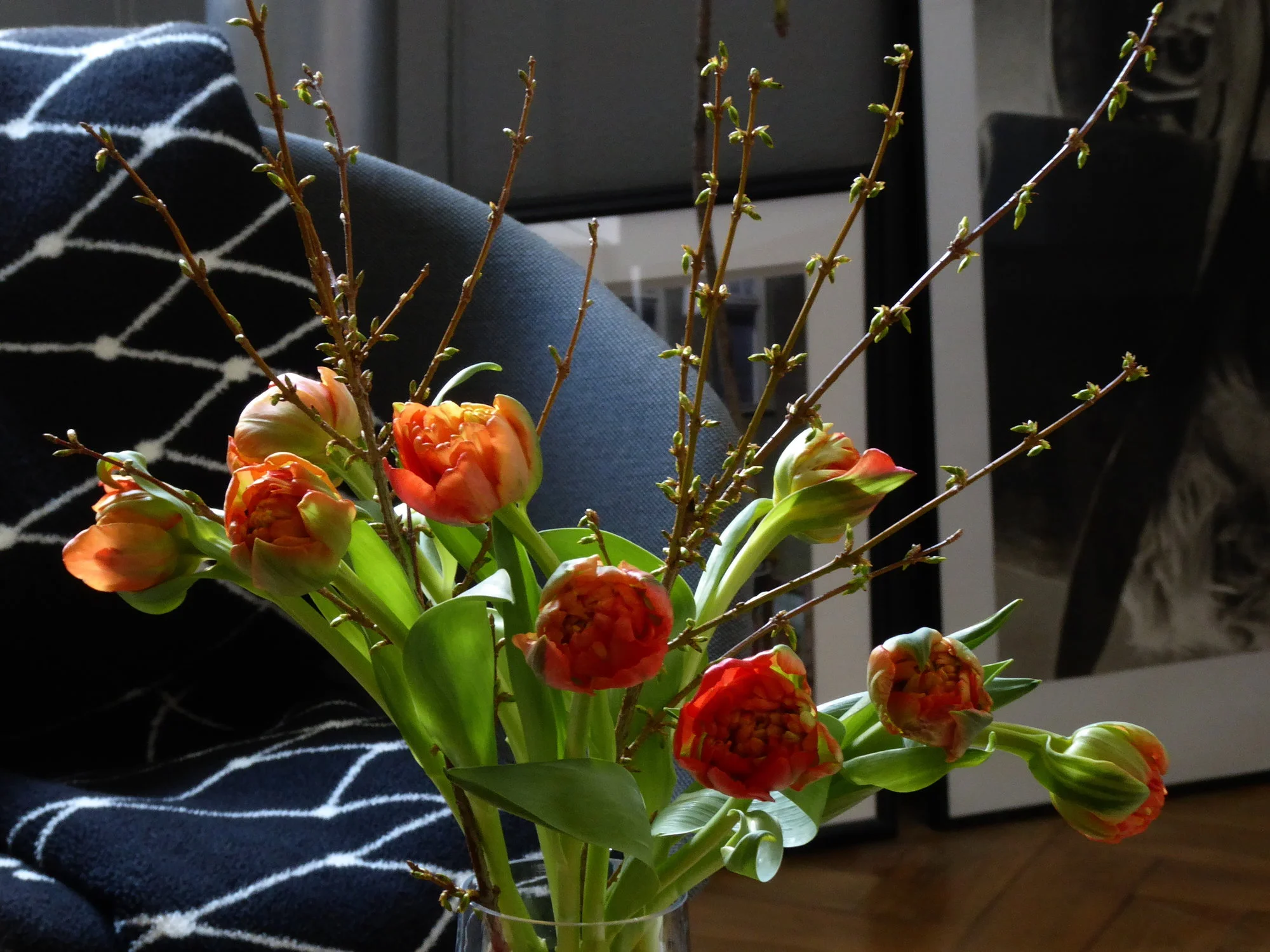 P1100343.webp