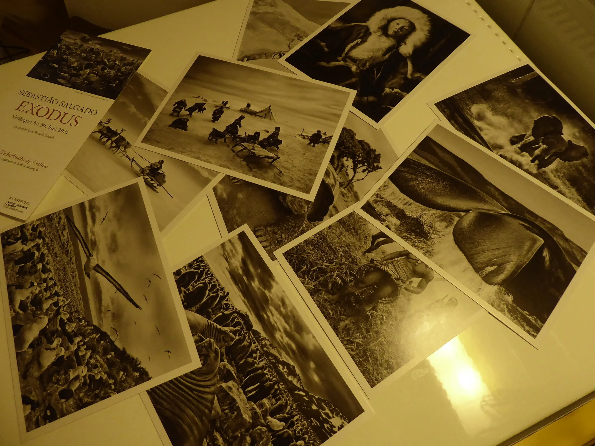 P1100371.webp