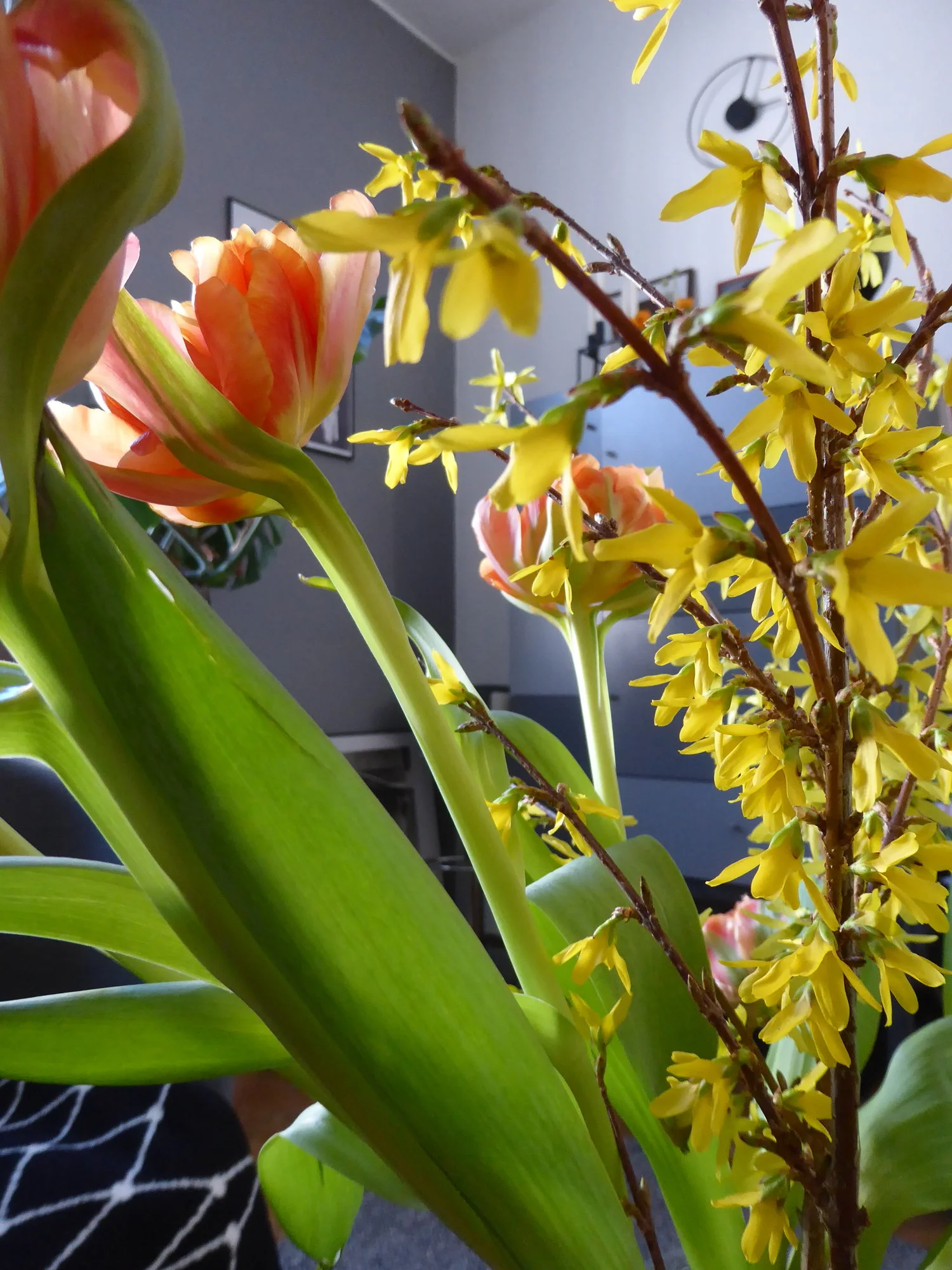 P1100424.webp