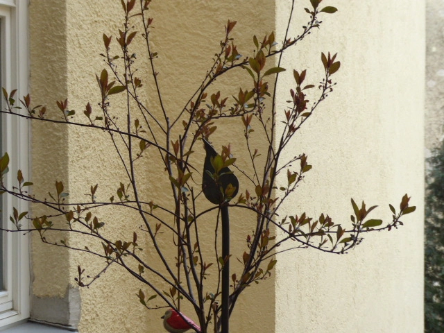 P1100474.webp