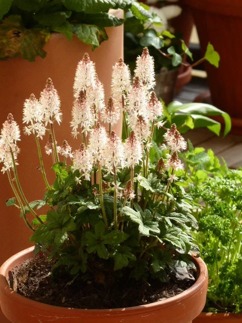 P1100479.JPG