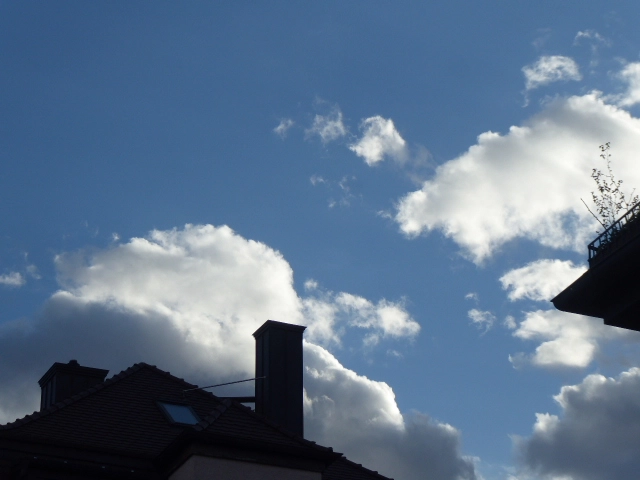P1100583.webp
