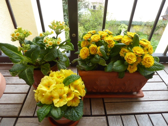 P1100598.JPG