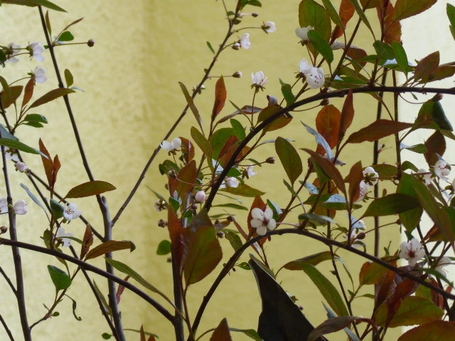 P1100607.webp