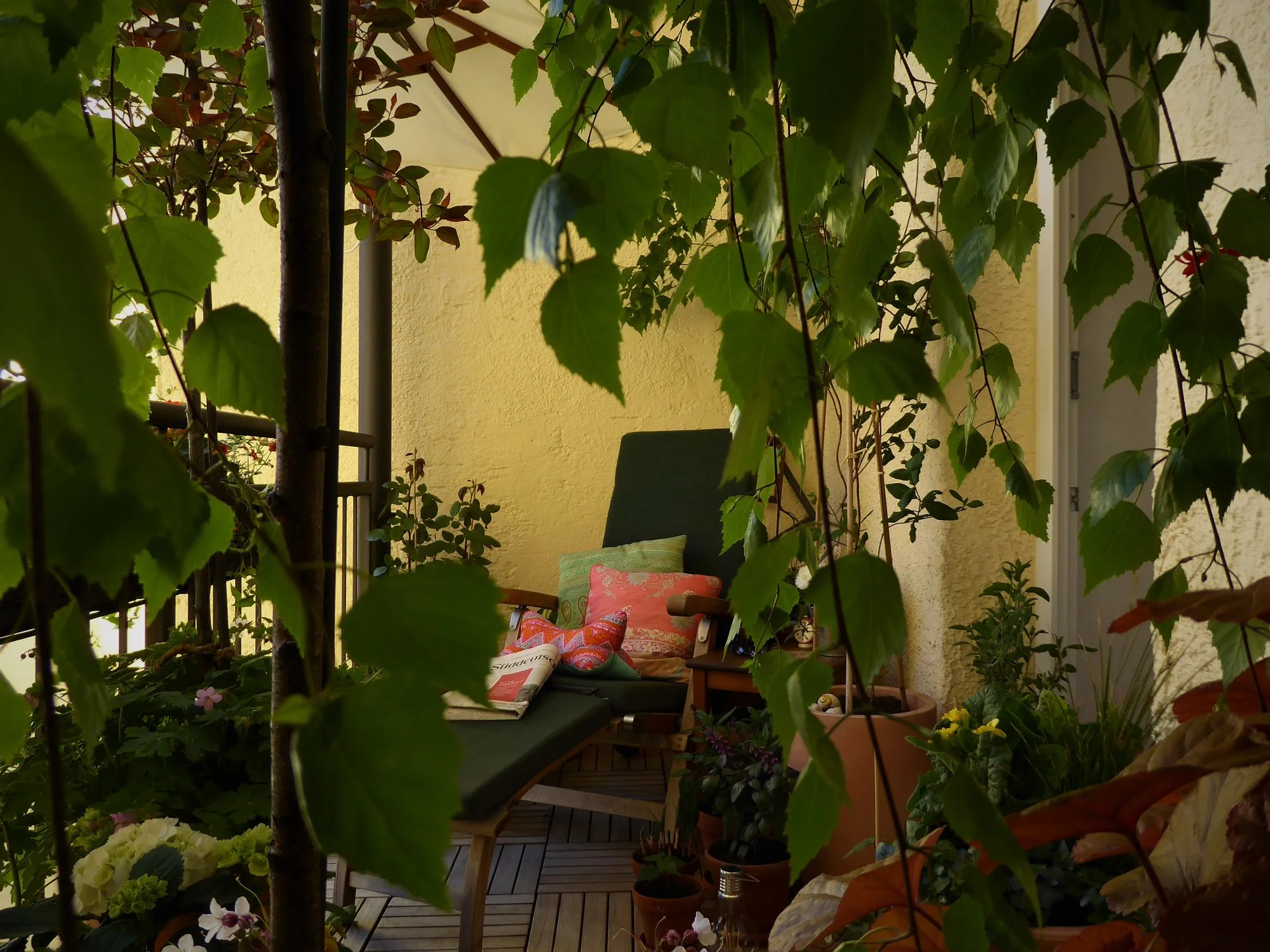 P1100673.webp