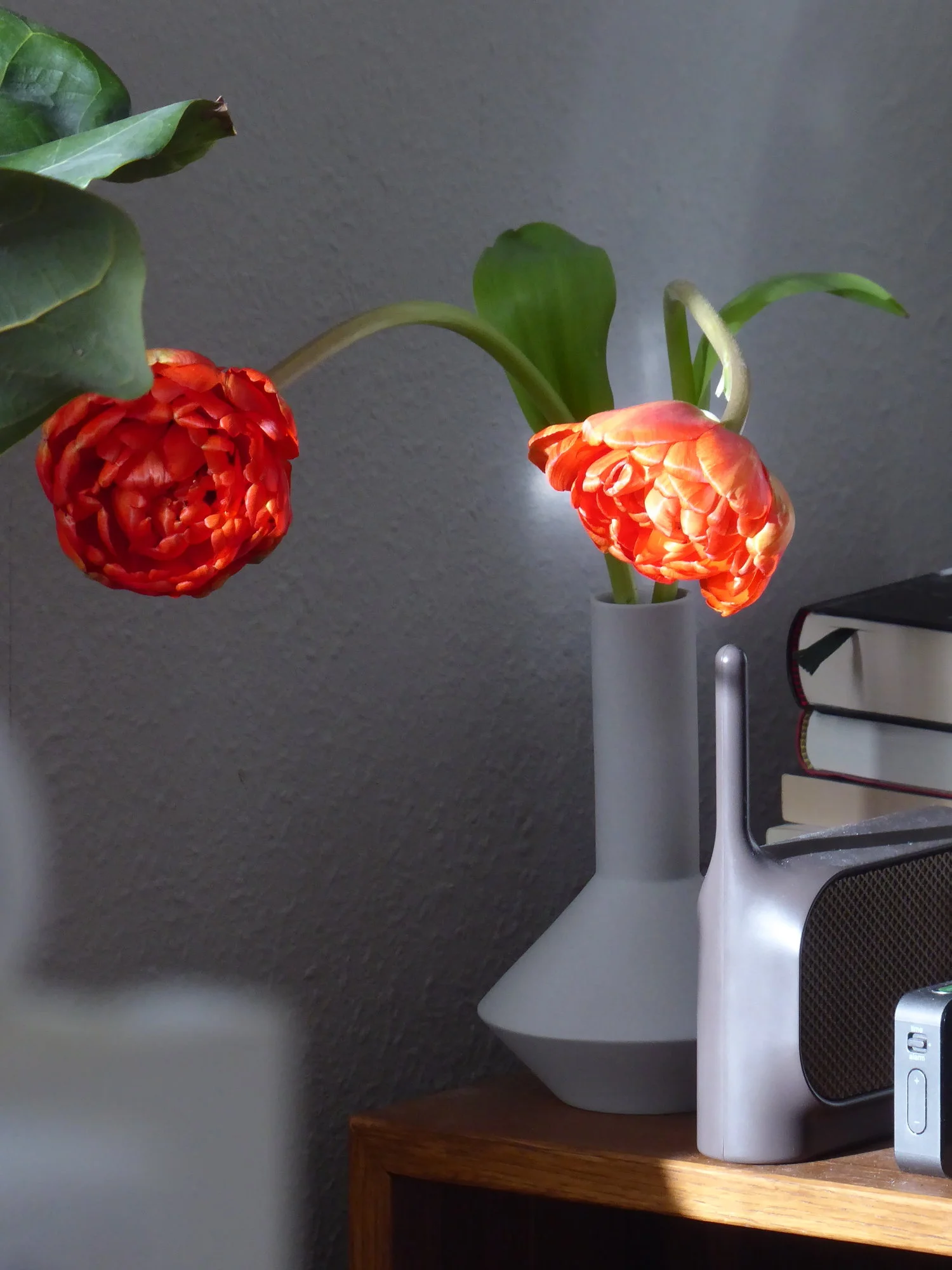P1100717.webp
