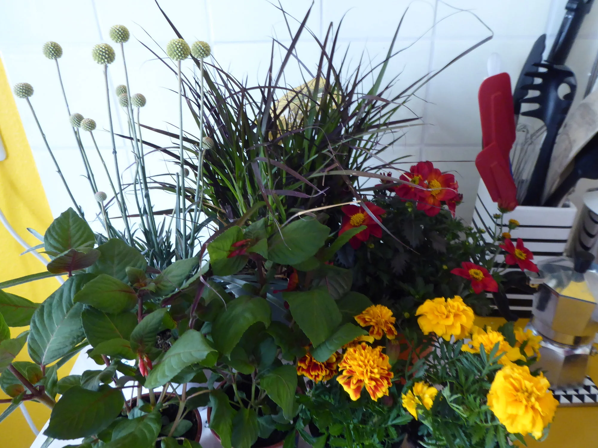 P1100720.webp