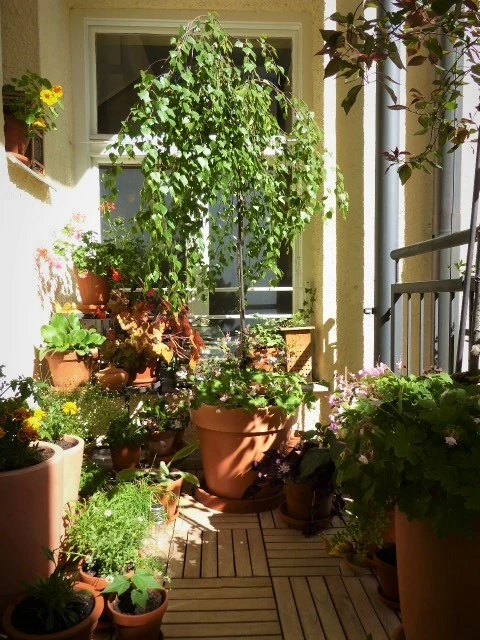 P1100828.webp