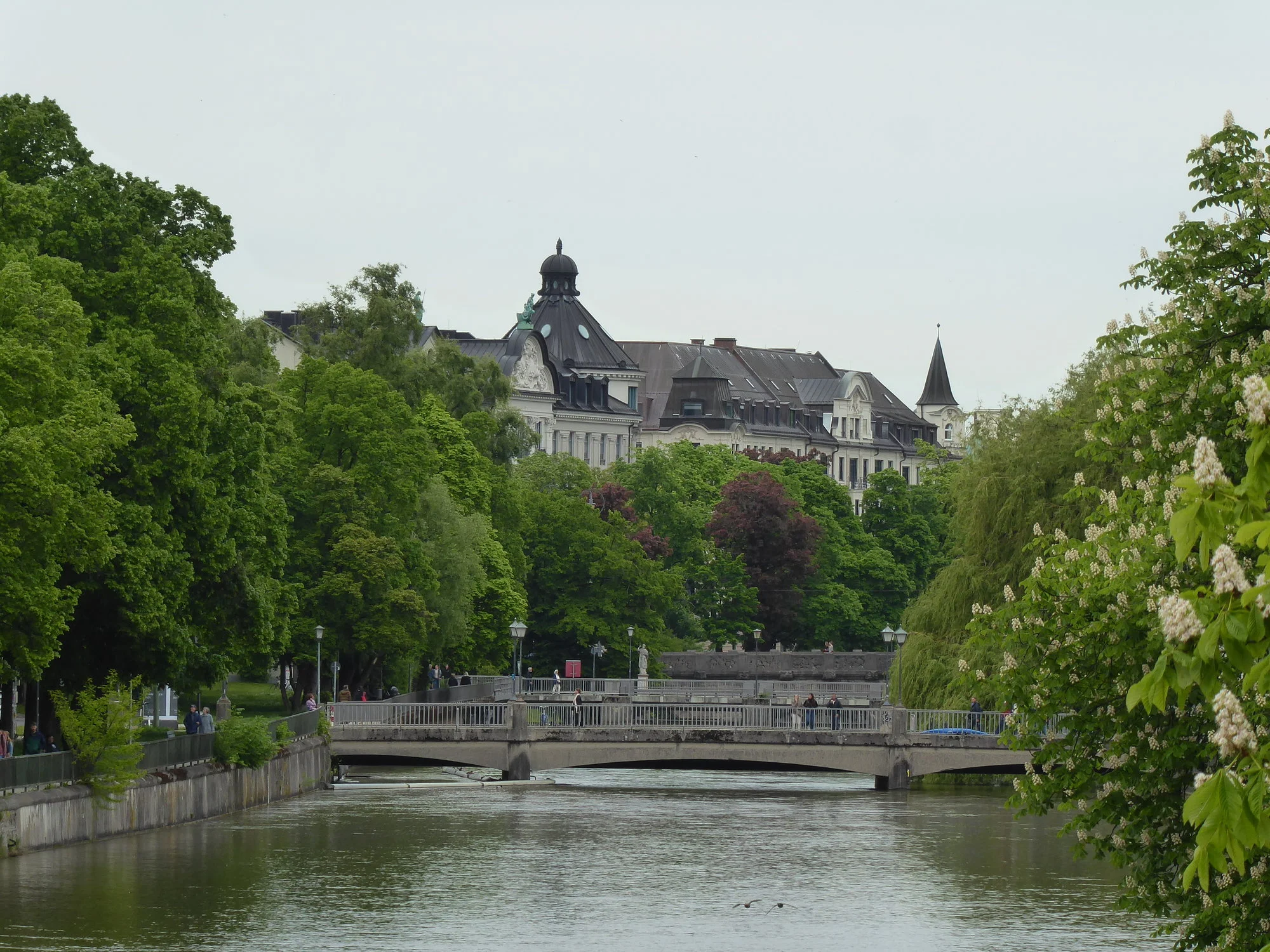 P1100863.webp