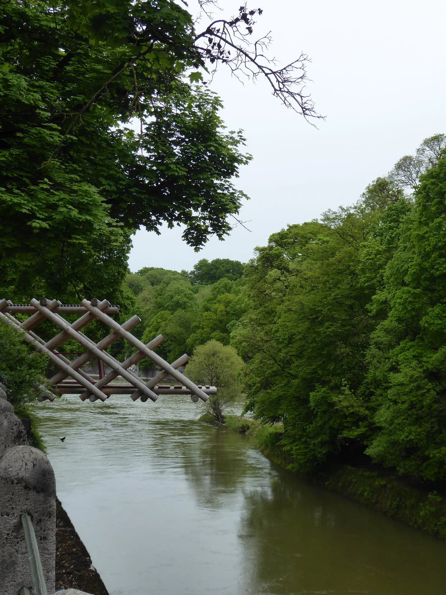 P1100874.webp