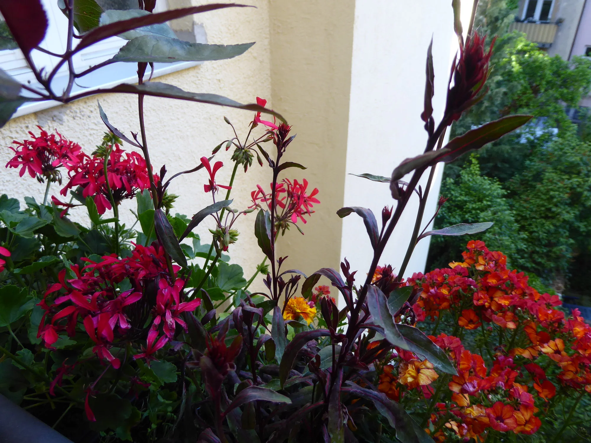 P1100900.webp