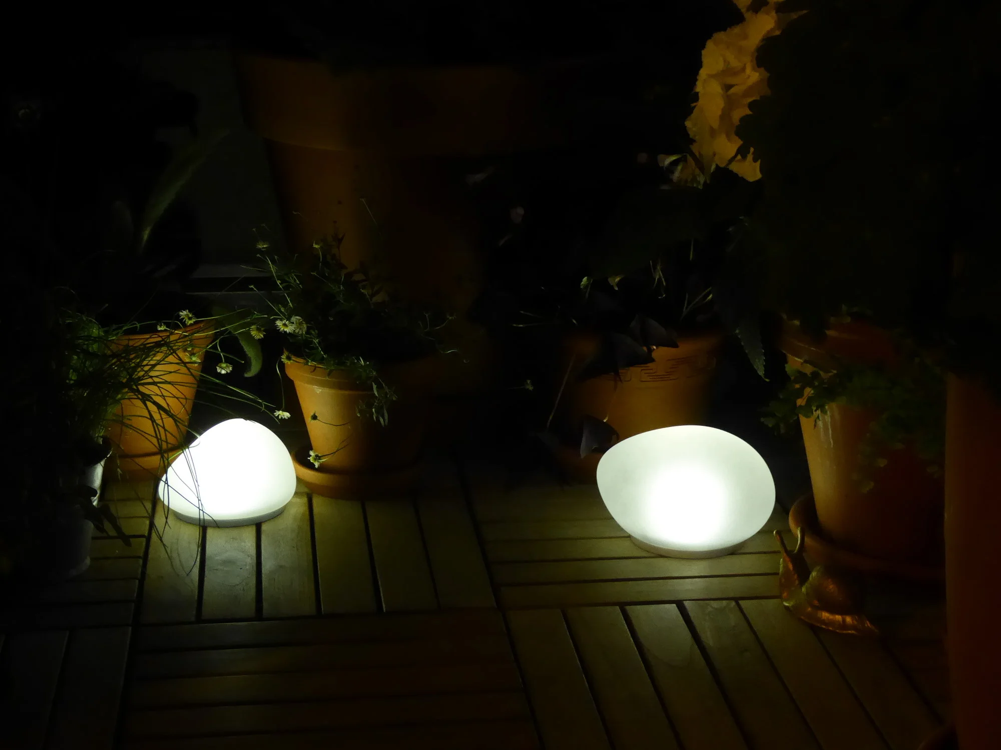 P1110038.webp